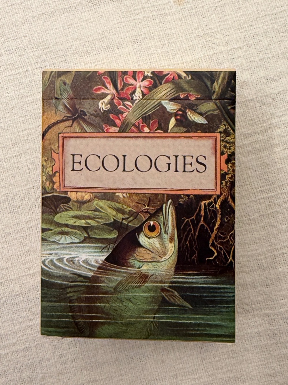 Ecologies card game